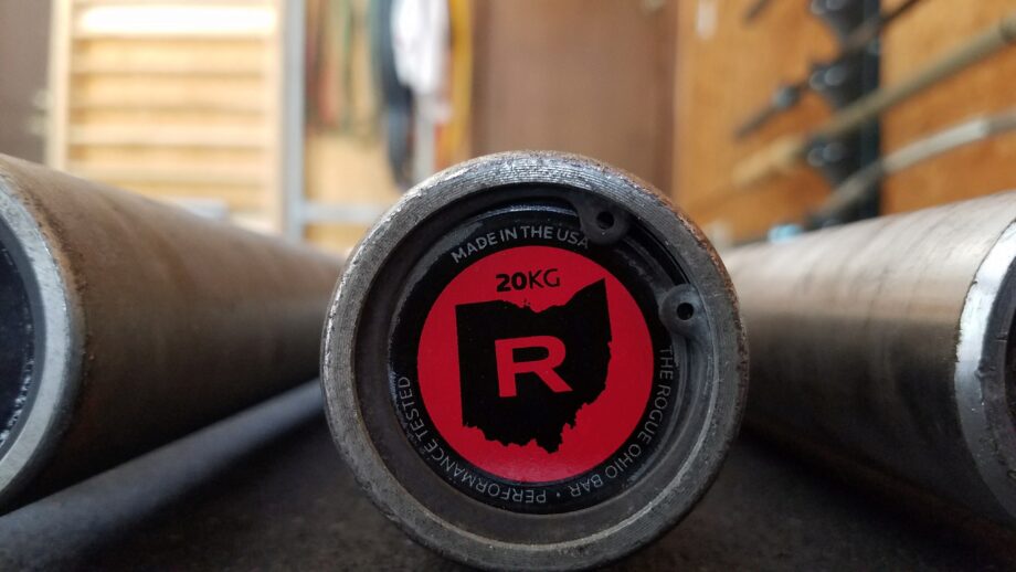 13 Reasons to/NOT to Buy Rogue Ohio Bar | Garage Gym Built