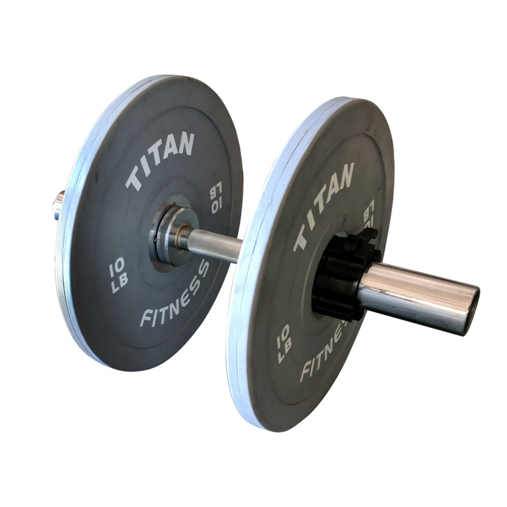 loadable dumbbells rogue