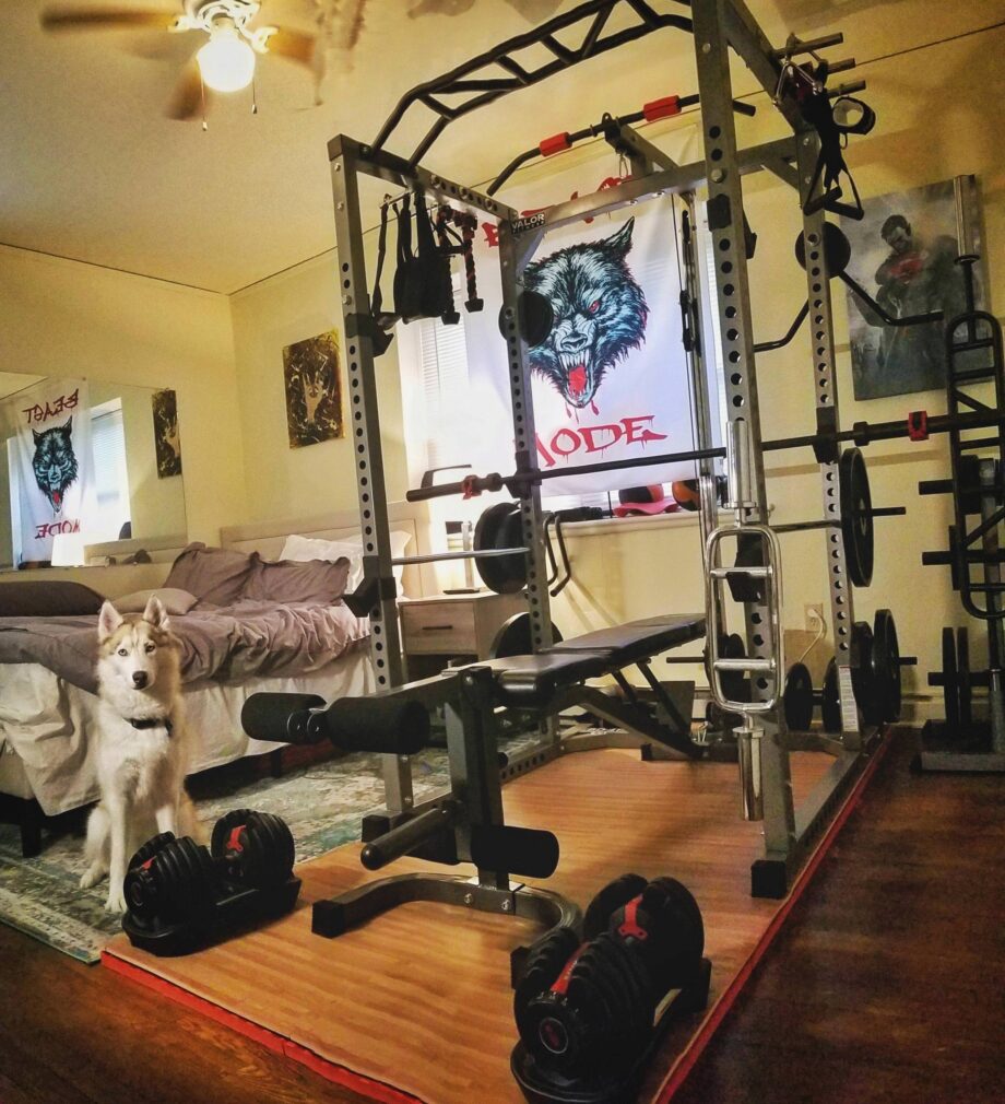 The 10 Best Budget Home Gym Setups Garage Gym Reviews