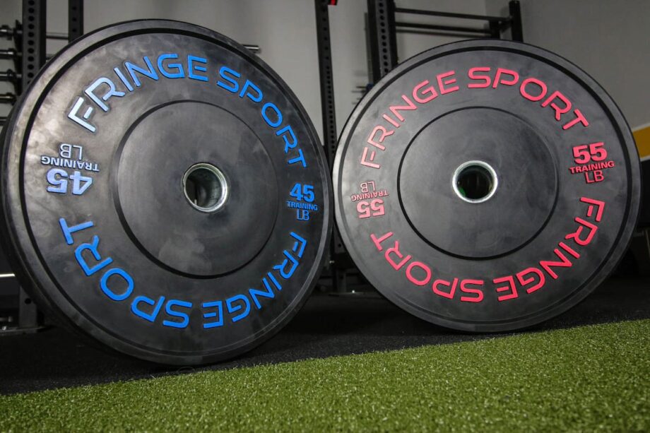 The Best Bumper Plates for 2020 Garage Gym Reviews