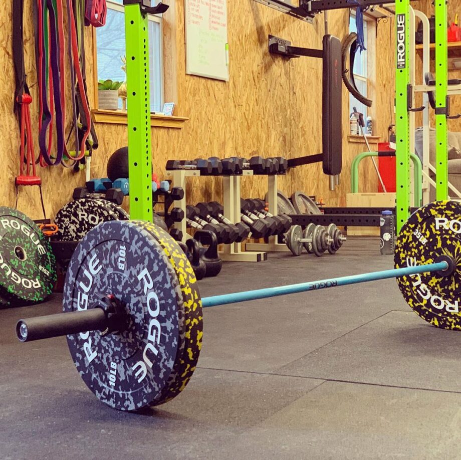 Rogue Fleck Bumper Plates