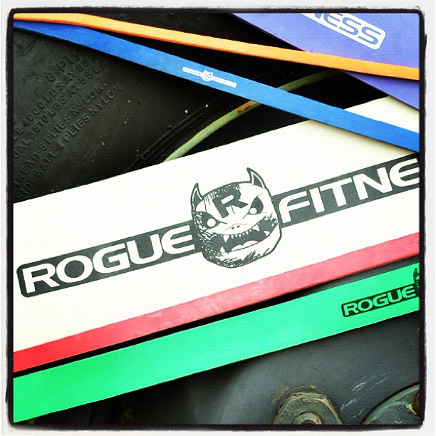 Rogue Shorty Monster Bands Garage Gym Reviews