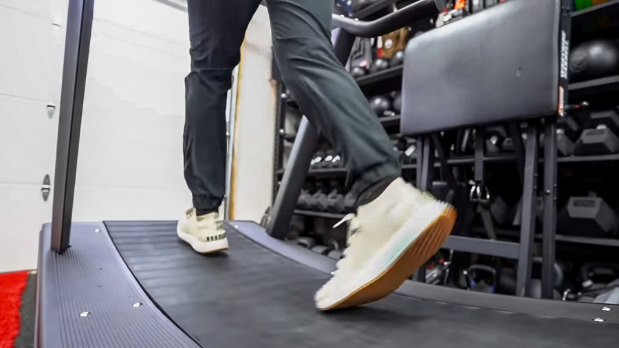 Coop's feet on TrueForm Trainer