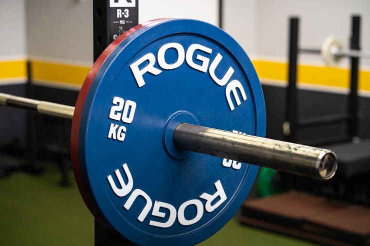 rogue Calibrated Steel Powerlifting Plates