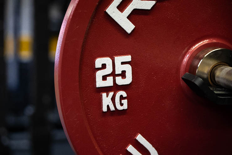 25kg rogue Calibrated Steel Powerlifting Plates
