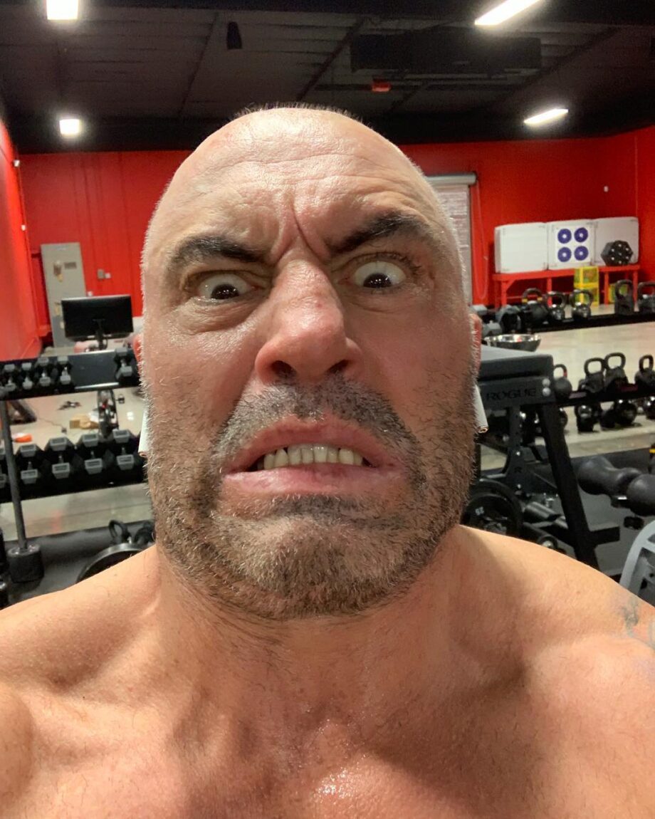 joe rogan's mobility & recovery equipment