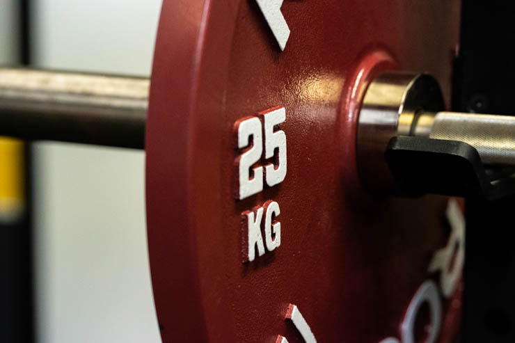 25kg rogue Calibrated Steel Powerlifting Plates