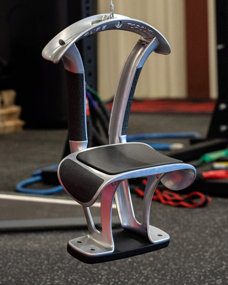 PureTorque Ab Trainer