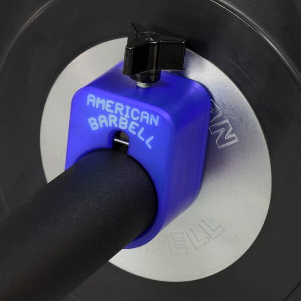 Rogue discount american barbell