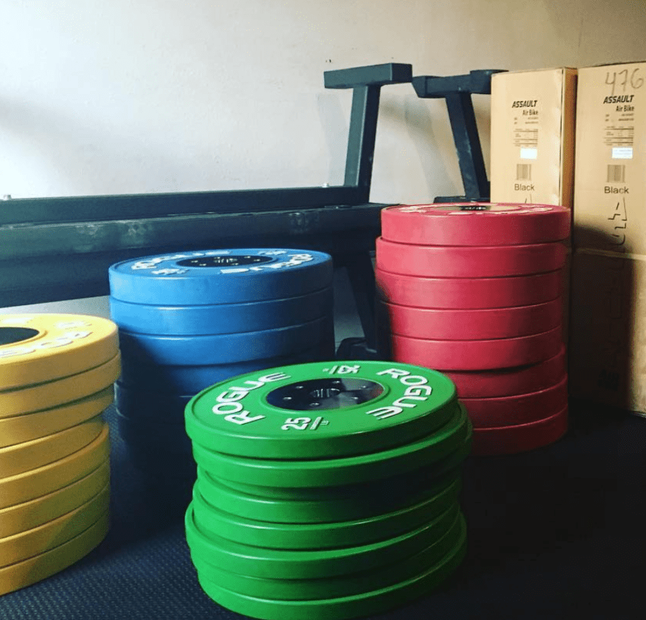 Rogue KG Competition Bumper Plates| Garage Gym Reviews