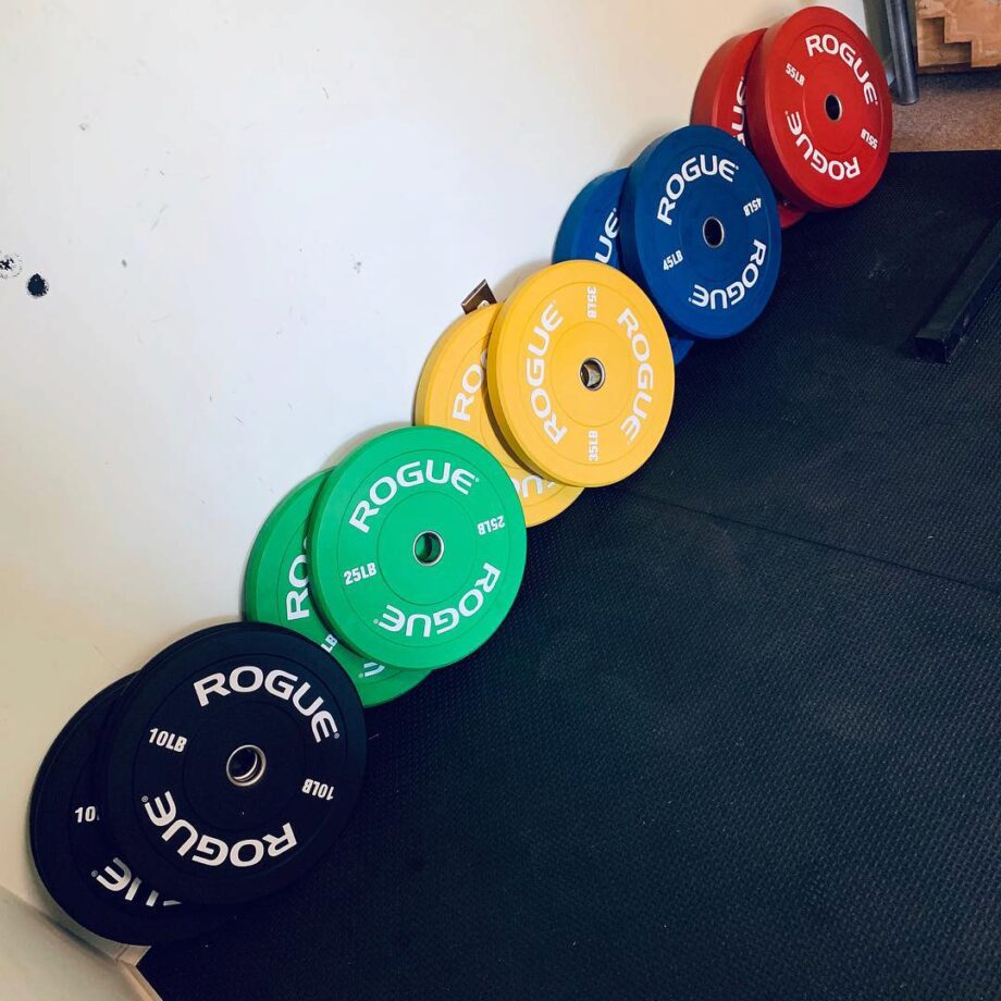 Rogue Color Echo Bumper Plates