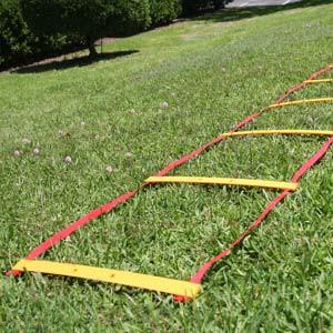 Fringe Speed & Agility Ladder