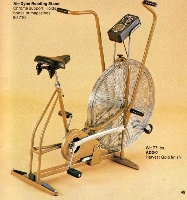 Schwinn AD4 Airdyne Air Bike