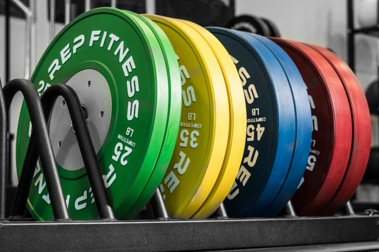 REP Competiton LB Bumper Plates