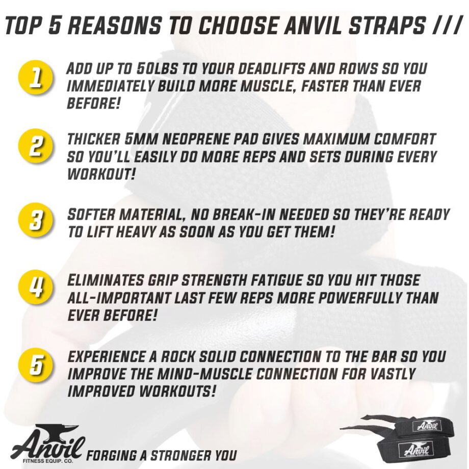 Anvil Fitness Lifting Straps