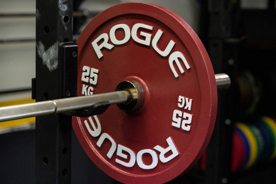 Rogue Calibrated KG Steel Plates