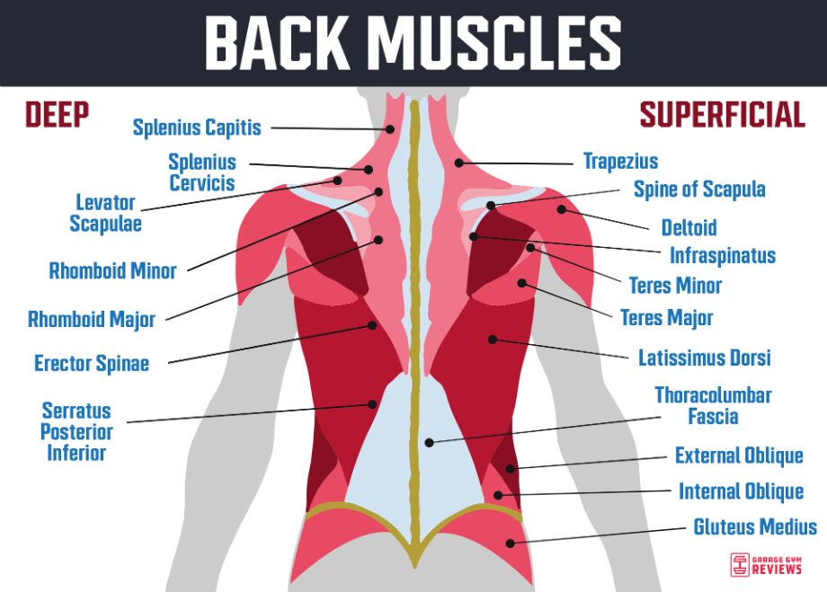 GET YOUR SEXY BACK  TOP 3 Exercises to Build a STRONG Back 