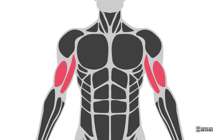 8 Transverse Abdominis Exercises to Work the Forgotten Muscles of