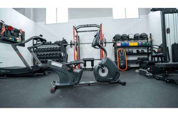 schwinn 270 recumbent bike maintenance