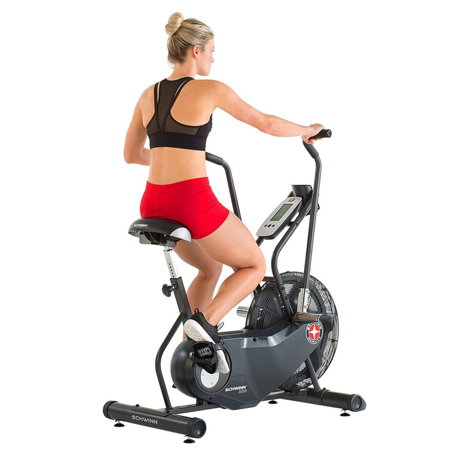 Schwinn AD6 Airdyne Air Bike