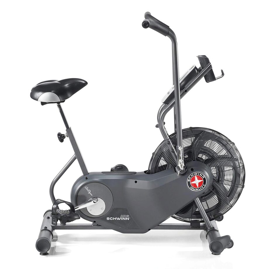 Schwinn AD6 Airdyne Air Bike