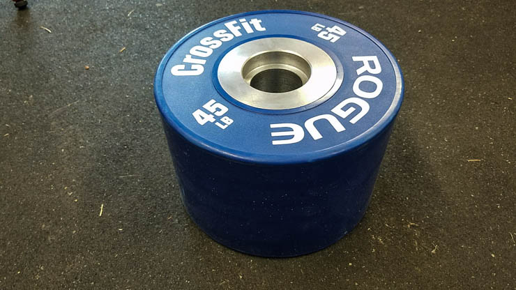 Rogue Dumbbell Bumper Plates