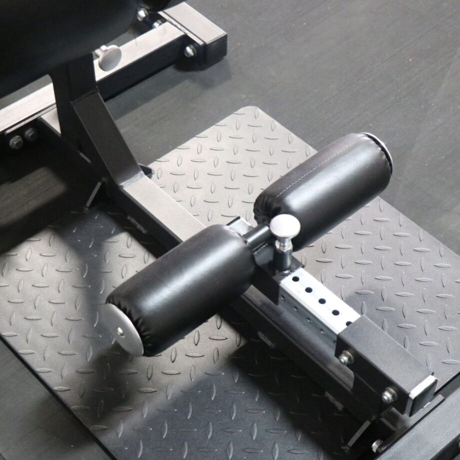 Titan Standing Back Extension Machine