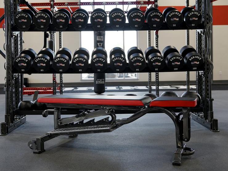 Sorinex 0-90 NP3 Adjustable Bench