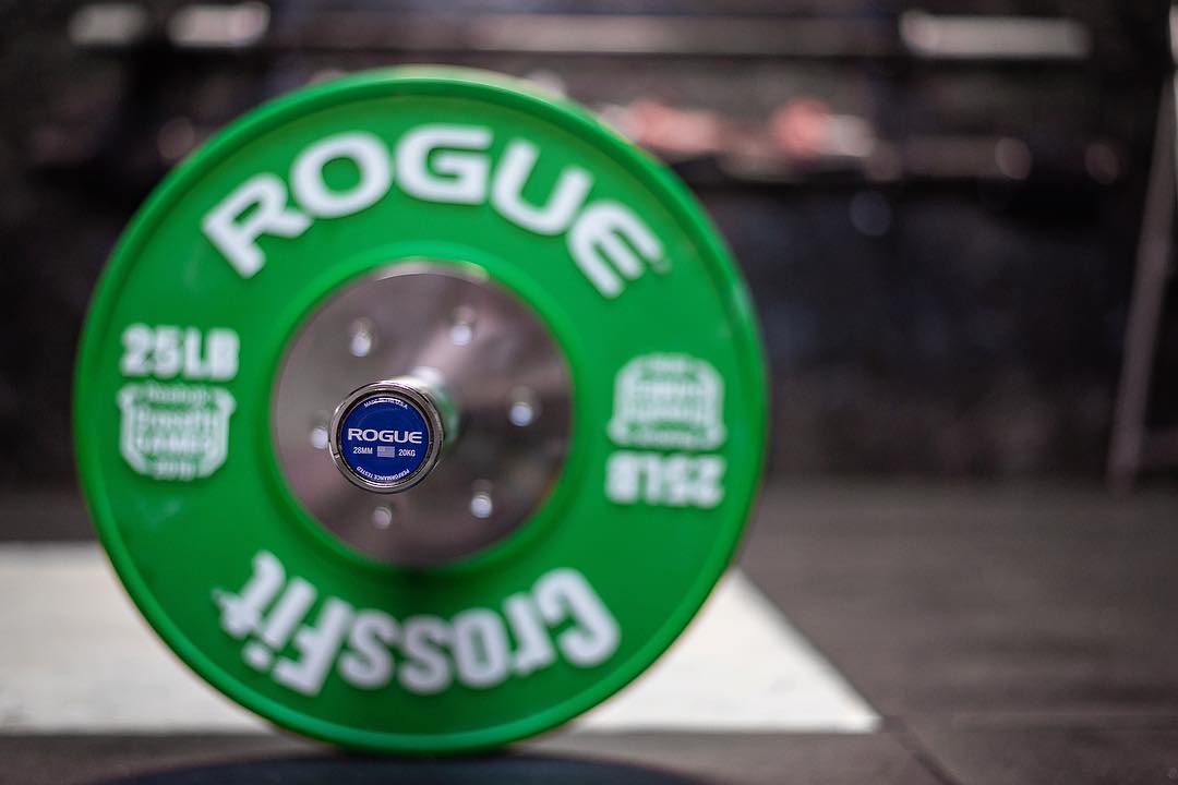 Rogue Olympic WL Bar – Cerakote