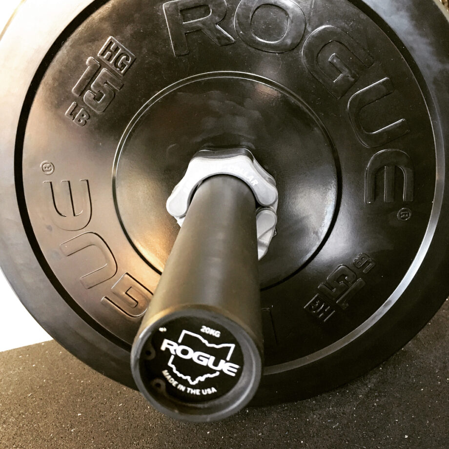 Rogue 2.0 bumper plates sale