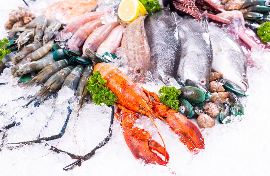 A beautiful spread of seafood across a bed of ice