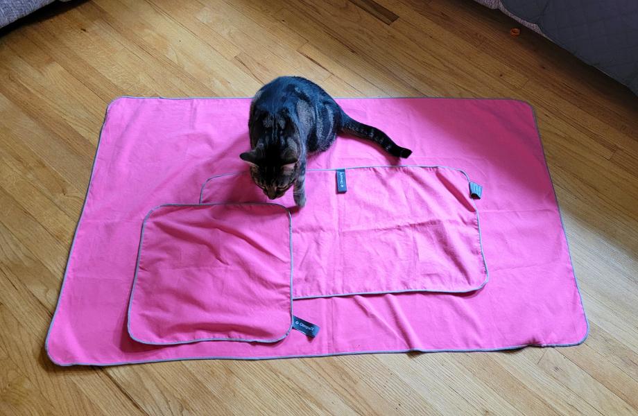 A cat sitting on OlimpiaFit Quick Dry Towels