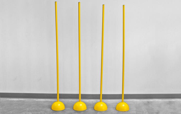 Powermax Agility Poles