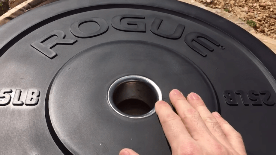 Rogue Echo Bumper Plates