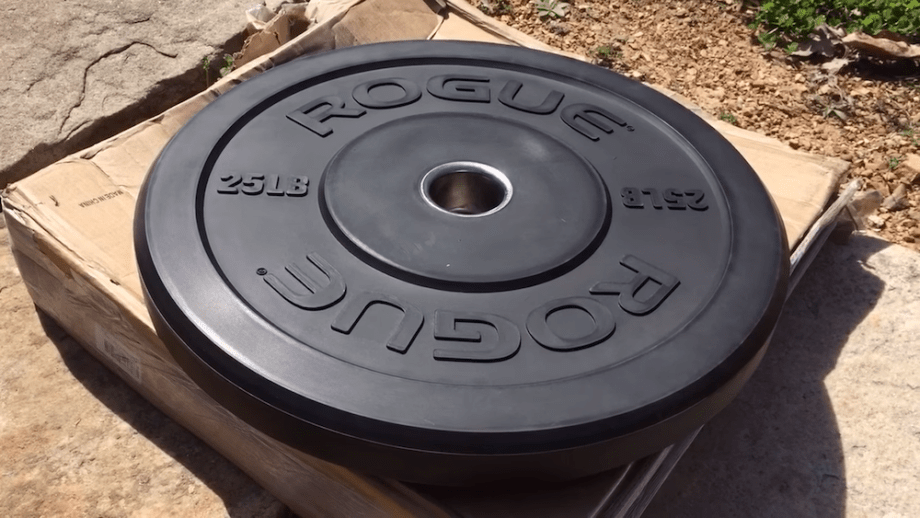 Rogue Echo Bumper Plates