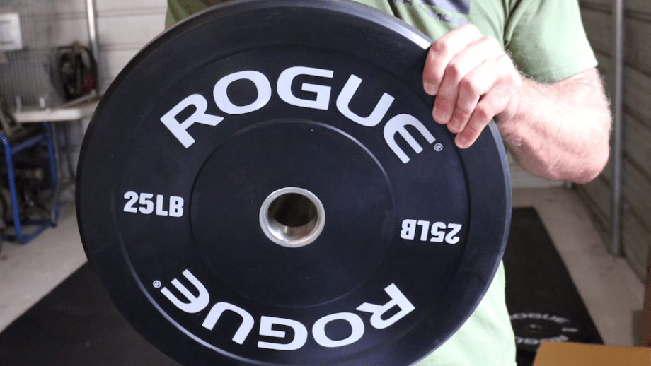 Rogue Echo Bumper Plates