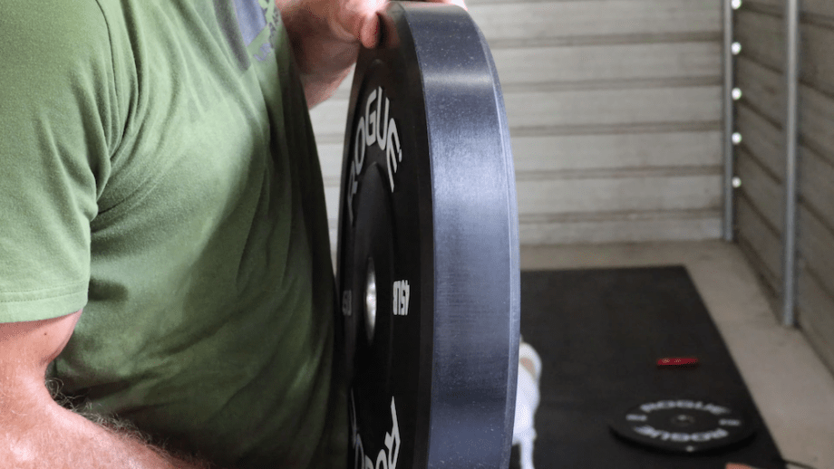 Rogue Echo Bumper Plates