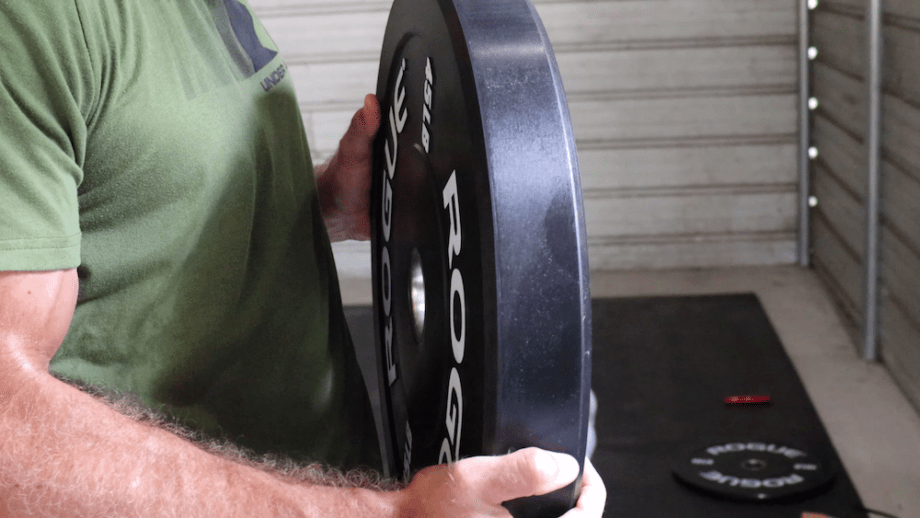 Rogue Echo Bumper Plates