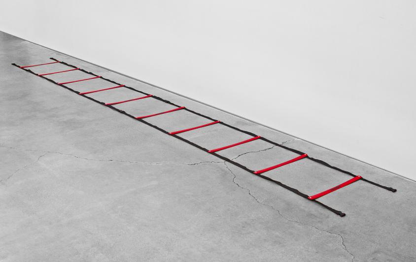 Powermax 15' Agility Ladder