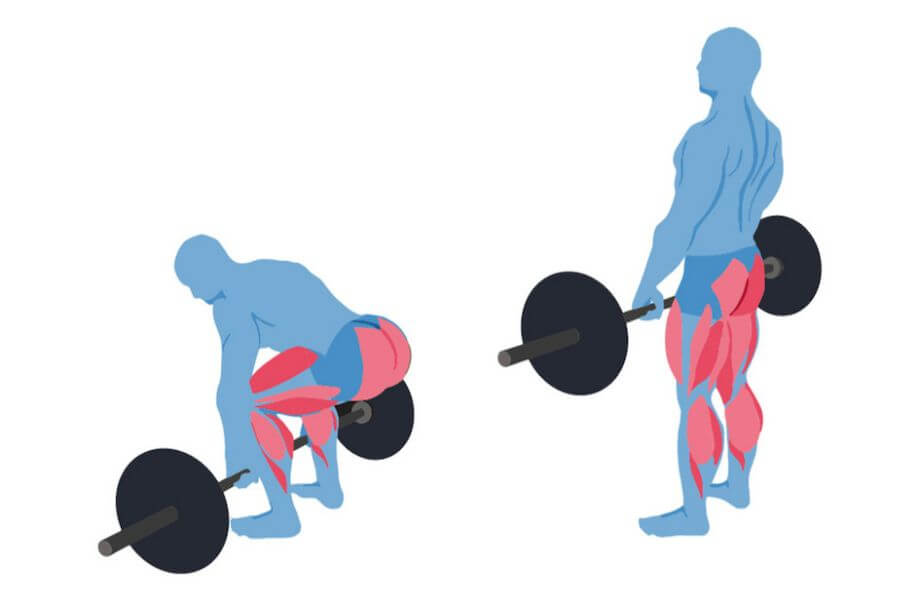 How To Do Sumo Deadlift, Muscles Worked And Benefits in 2023