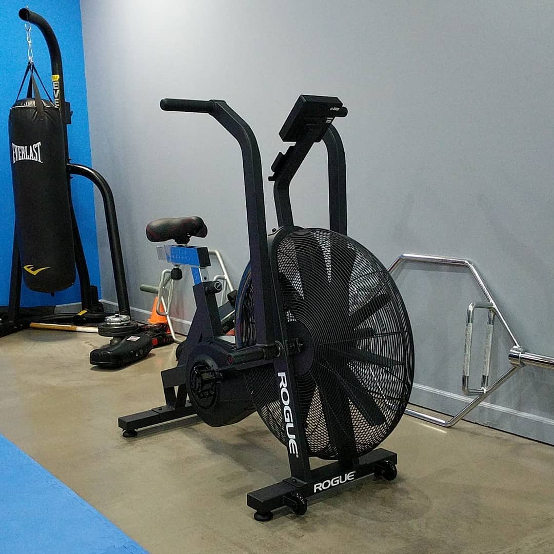 Rogue Echo Bike Garage Gym Reviews