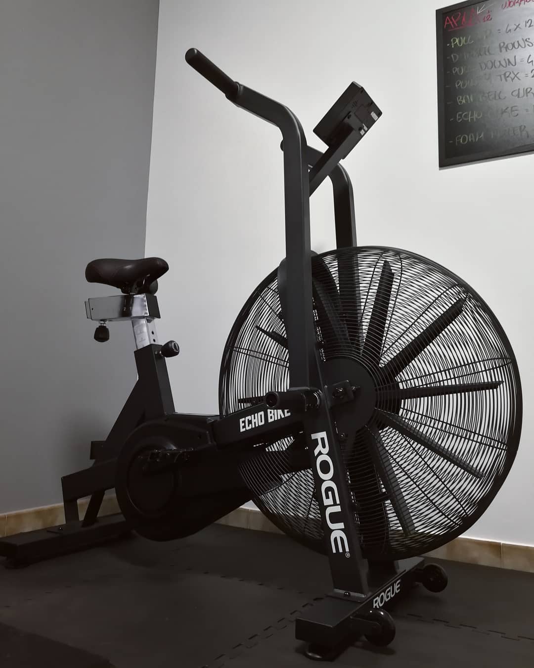 behandeling klep vruchten 13 Reasons to/Not to Buy Rogue Echo Bike | Garage Gym Reviews| Garage Gym  Reviews