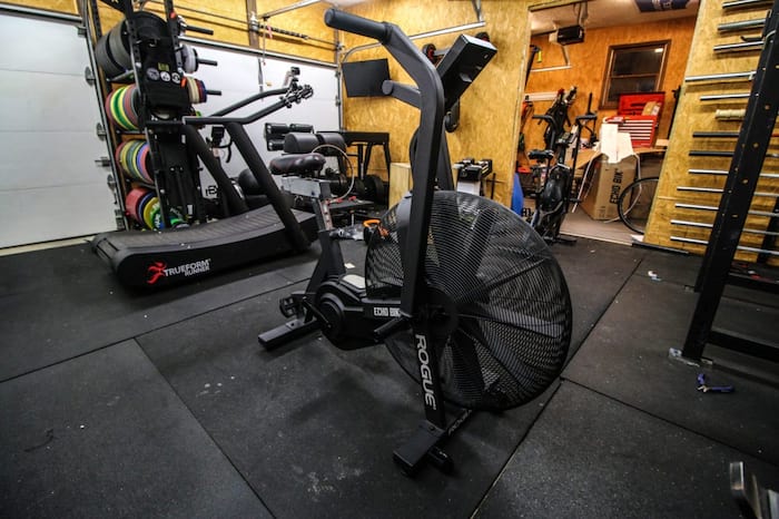 Rogue fitness echo bike for sale sale