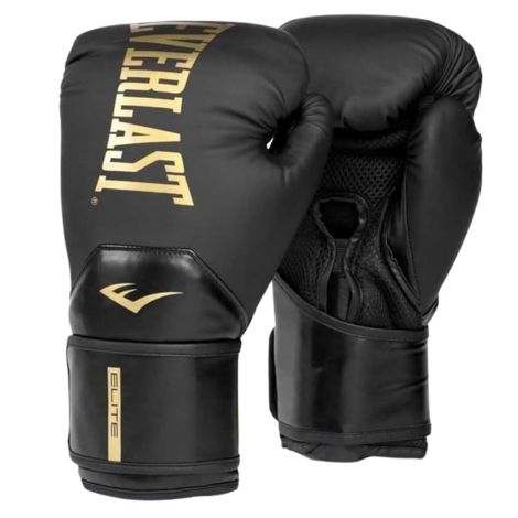 Everlast Elite 2 Boxing Gloves | Garage Gym Reviews