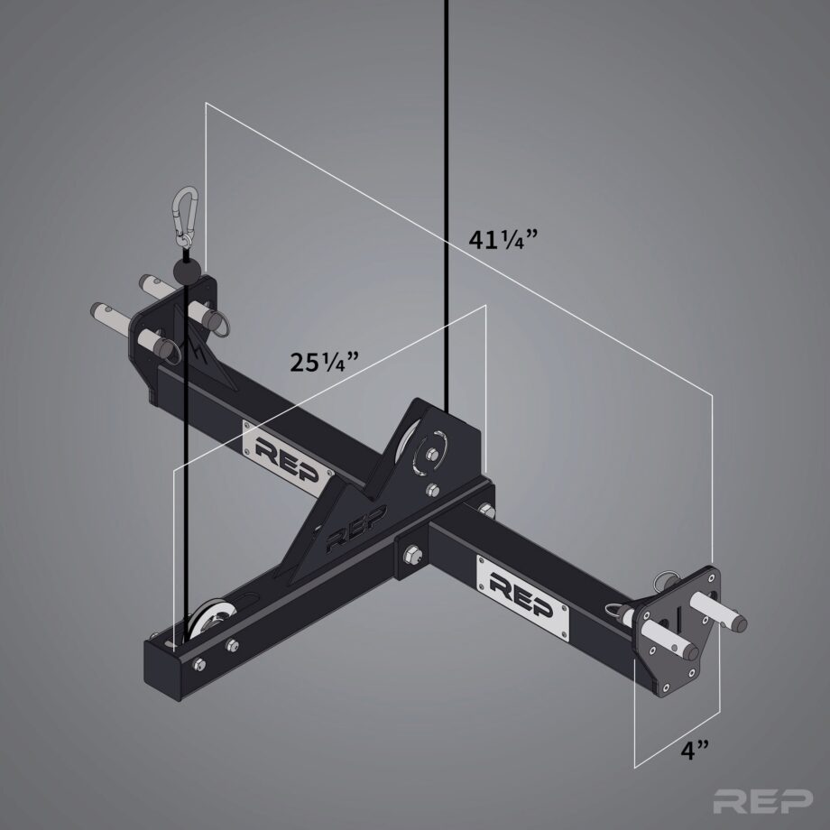 Rogue belt squat online attachment