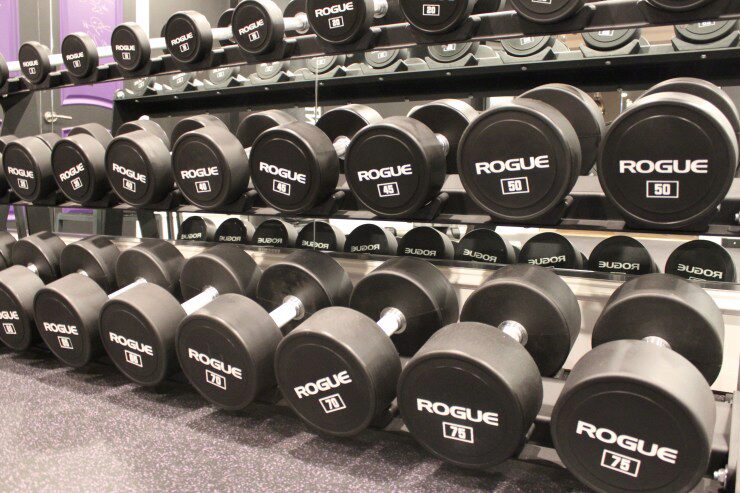 Rogue Urethane Dumbbells