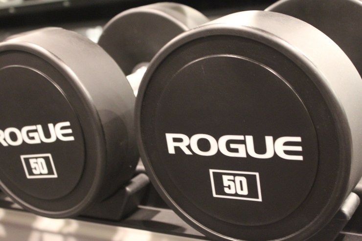 Rogue Urethane Dumbbells