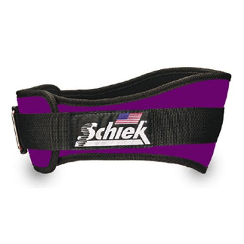 Schiek 2004 Lifting Belt