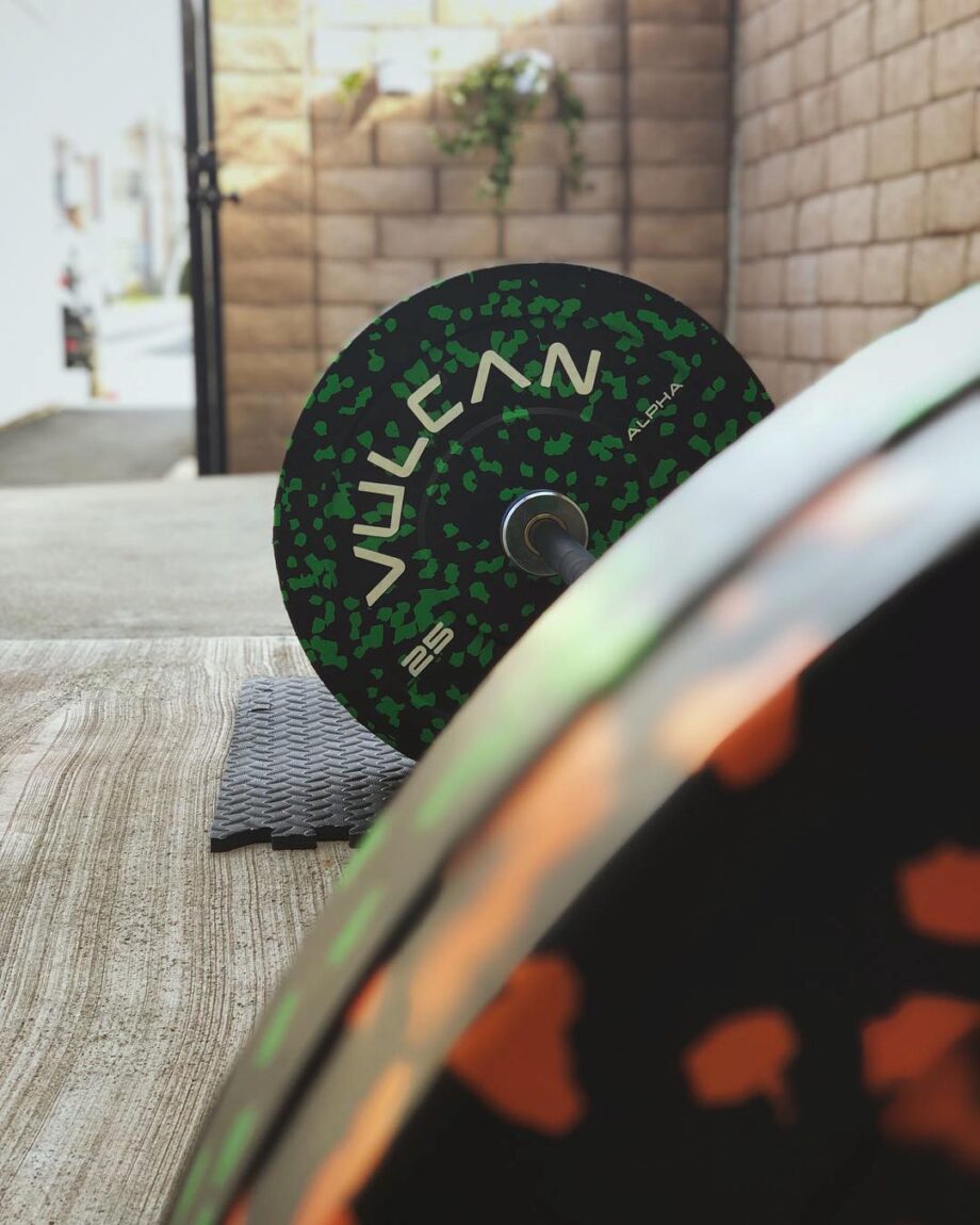 Vulcan Alpha Bumper Plates