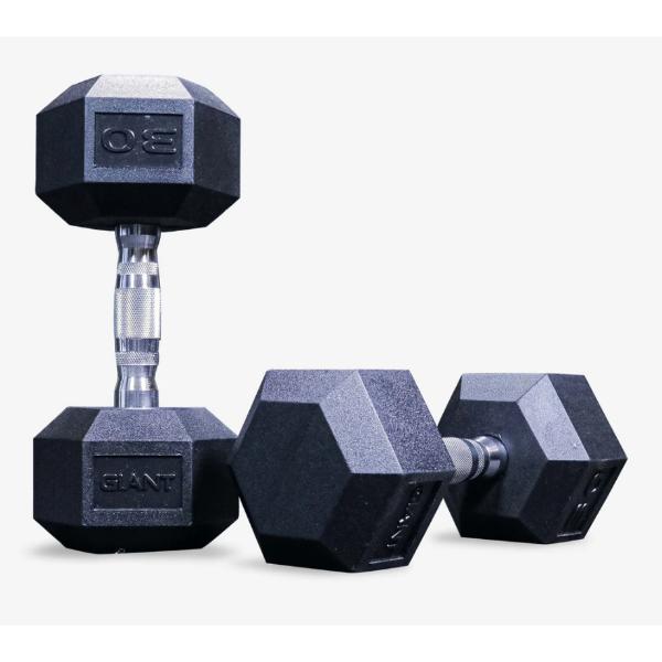 Giant Lifting Rubber Hex Dumbbells